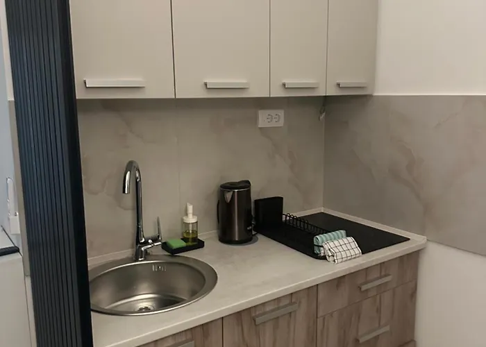 Apt1- Sokobanjica 公寓 *